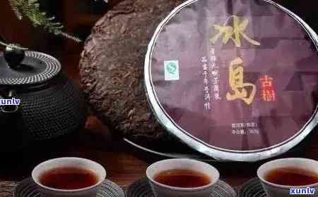 冰岛普洱熟茶品种：性价比更高与独特特点解析