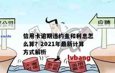 信用卡逾期利息计算 *** 详解：从费率到罚息，一文全面解析