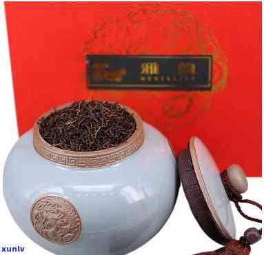 雅韵普洱茶叶多少钱