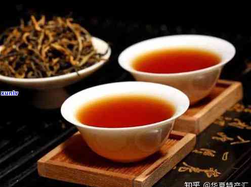 全面比较：哪个的滇红红茶口感和品质更优秀？
