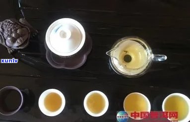 州普洱茶市场：探索购买、品质、及茶叶冲泡技巧的全方位指南