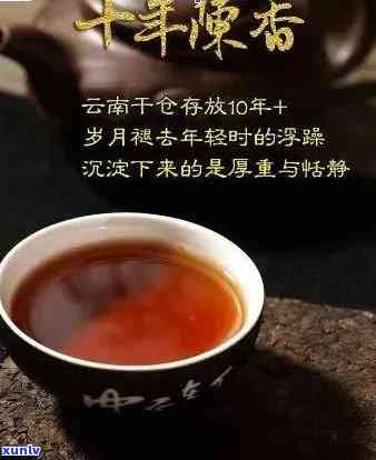 探索云南古韵：千年普洱茶的独特品味与健之道