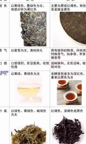 老班章普洱茶冲泡详解：生茶与熟茶的差异、步骤与技巧