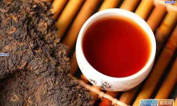 台州市路桥区知名的普洱茶加盟店推荐