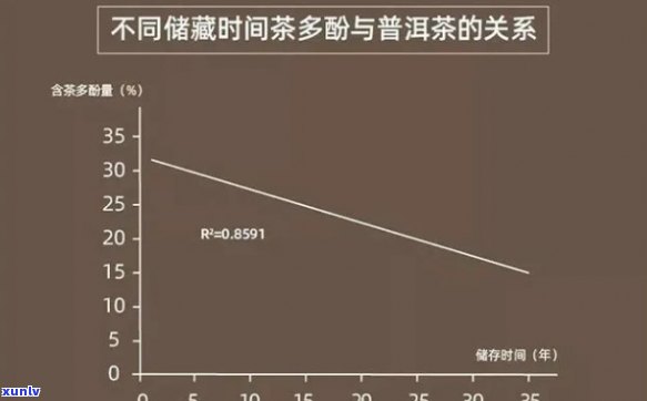 普洱茶营养成分详细分析：从科学角度了解其对人体健的影响及作用机制