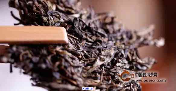 普洱茶的内含物质和比例：探讨普洱茶中的关键成分及其作用