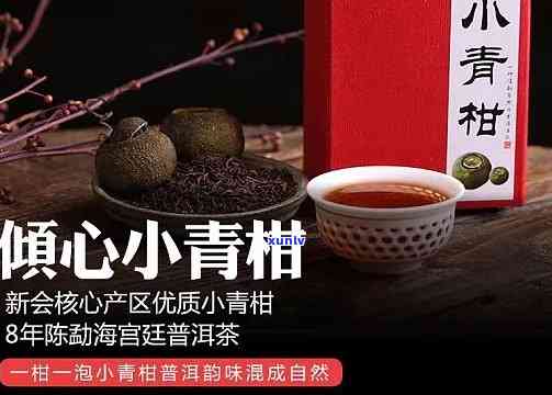 小青柑普洱茶加盟店