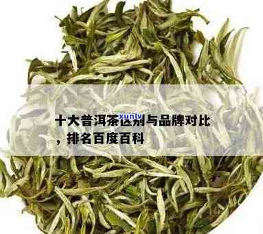 十大普洱茶对比分析：排名前十名的普洱茶对比研究