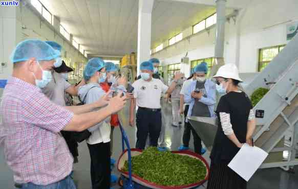 三亚茶业公司：探索海南地区优质茶叶生产企业