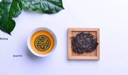 普洱茶含有蛋白质吗？为什么普洱茶中的蛋白质含量高吗？