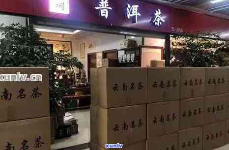 语辰号普洱茶加盟店