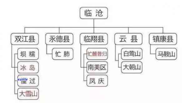 探索普洱茶四大产区的独特茶叶种类与风味