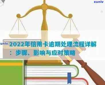 抚州优质普洱茶项目招商：加盟细节、门店布局与分布策略全面解析