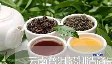 云南普洱茶厂家名录：寻找优质茶叶供应商的全方位指南