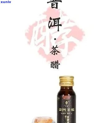 正宗普洱茶醋多少钱一瓶：盒装价格解析