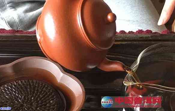 使用龙蛋壶泡普洱茶的体验：紫砂壶与普洱茶的完美融合