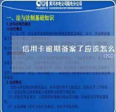 信用卡逾期进入备案阶：如何应对、备案流程详细解析及解决常见疑问