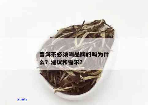 普洱茶的全面功能性食品：解答用户关于普洱茶的各种疑问和需求