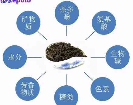 揭秘普洱茶的三大神奇成分及其对健的全面解析