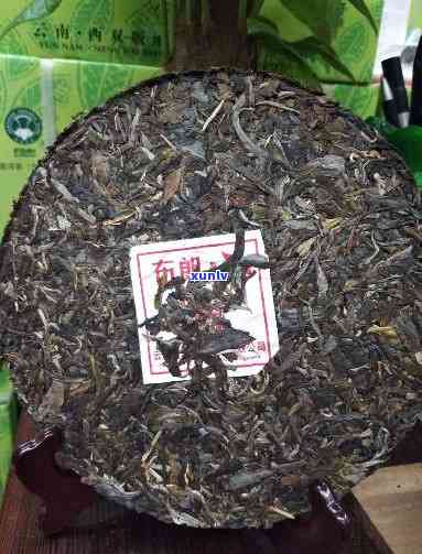 云南普洱茶专业经销商供应优质茶叶与批发服务
