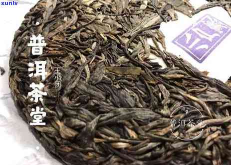 普洱茶是绿茶类吗？为什么？