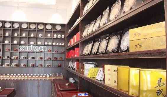 精选普洱茶叶专营店，提供优质茶叶与选购指南