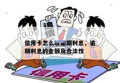 聚会要带什么翡翠