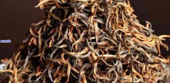 云南特色红茶：金丝滇红与普洱茶的魅力对比