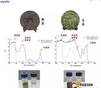 普洱茶添加剂：成分、作用与安全性全面解析