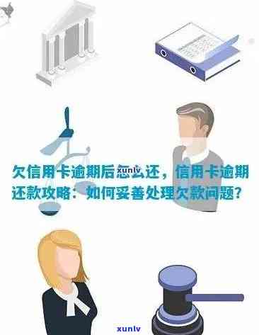 信用卡逾期还款全面指南：如何避免罚款、恢复信用评分以及解决逾期问题