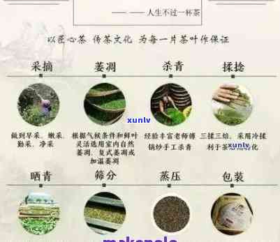 普洱茶 *** 成本：多少钱？高吗？多少？