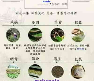 普洱茶 *** 与成本分析：深入了解茶叶的背后价格