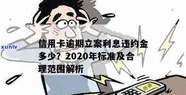 2020年信用卡逾期还款新规定：详细解读立案标准与金额处理方式