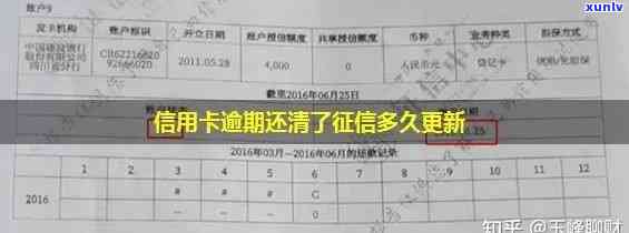 如何处理逾期信用卡并修复记录：完整指南