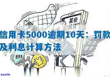 信用卡5000逾期10天罚款多少：解答逾期罚息及相关问题