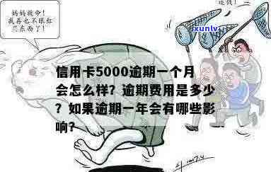 逾期一个月信用卡还款5000元会产生哪些后果及如何应对？