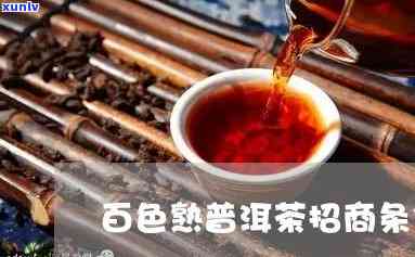 百色普洱茶渠道招商