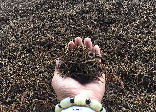 探究滇红茶与晒红茶的区别及其独特的醇厚口感