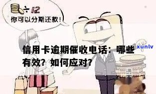 应对信用卡逾期：如何巧妙处理 *** 