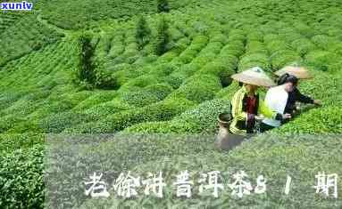 老讲普洱茶46期