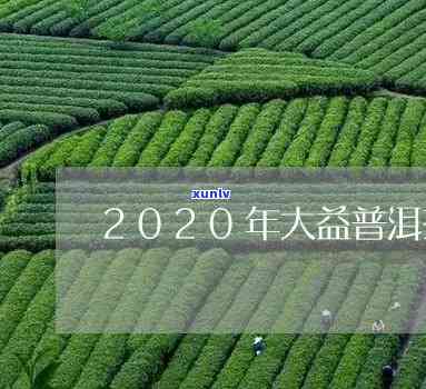 2020年大益茶业创新产品展示新品发布会：普洱茶的未来之路