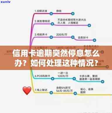 信用卡短信逾期解决方案：如何消除记录、补救信用损失及预防未来问题