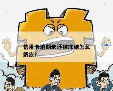 逾期信用卡额度被冻结了怎么解冻及还款