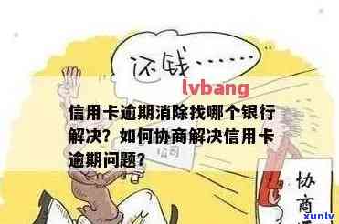 好几个信用卡逾期了怎么办？怎么协商和处理？