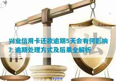 兴业信用卡逾期5个月的影响及相关解决方案全面解析