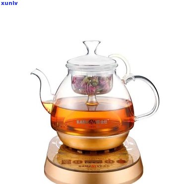 高质量金灶玻璃茶壶在批发的价格与图片