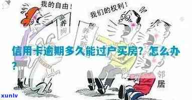 自己信用卡逾期母买房怎么办：影响与解决办法