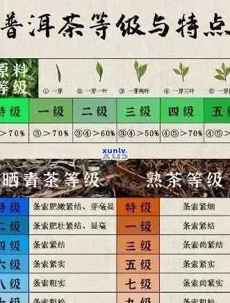 普洱茶全面解析：从产地、种类、 *** 工艺到品鉴 *** ，一次解答所有疑问