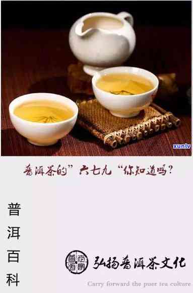 九畹普洱茶：品茗九璞与九衢的醇厚之美