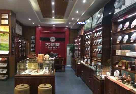 全面解析：普洱茶叶加盟店排行榜前十名，为您精选优质及投资指南